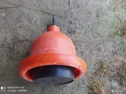 abbeveratoi per polli