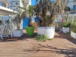 1#8280 Affitto di azienda esercente attività di solarium
