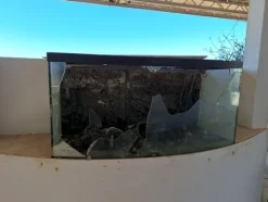 1#8280 Affitto di azienda esercente attività di solarium