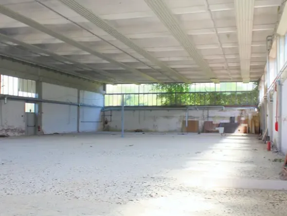 #21095 Ampio complesso industriale