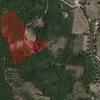 #16028 Appezzamenti di terreno agricolo destinati a tartufaia