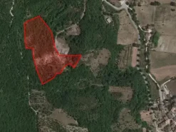 #16028 Appezzamenti di terreno agricolo destinati a tartufaia