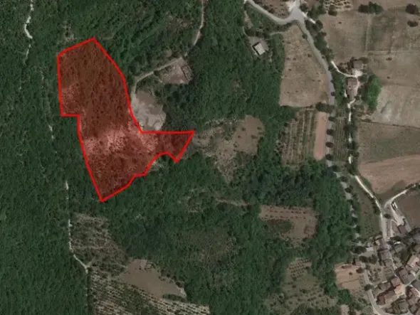 #16028 Appezzamenti di terreno agricolo destinati a tartufaia