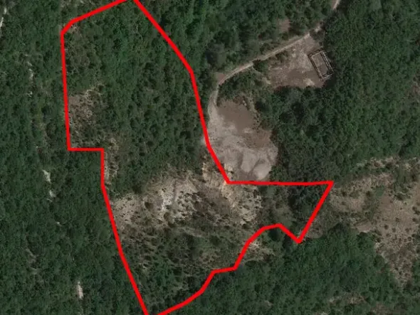 #16028 Appezzamenti di terreno agricolo destinati a tartufaia