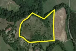 #7551 Appezzamenti di terreno agricolo in collina