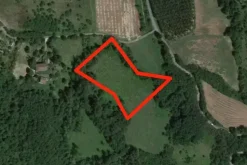 #7551 Appezzamenti di terreno agricolo in collina