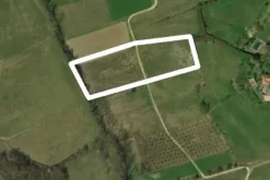#7551 Appezzamenti di terreno agricolo in collina