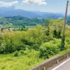 #20924 Appezzamento agricolo collinare di 5270 mq