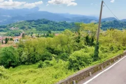 #20924 Appezzamento agricolo collinare di 5270 mq