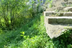 #20924 Appezzamento agricolo collinare di 5270 mq