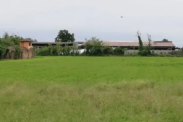 #13092 Appezzamento agricolo e cascina collabente