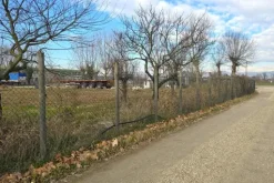#25332 Appezzamento agricolo in area tutelata