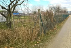 #25332 Appezzamento agricolo in area tutelata