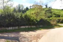 #2536705 Appezzamento agricolo in contesto collinare