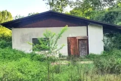 #2536705 Appezzamento agricolo in contesto collinare