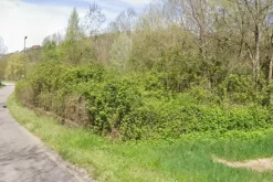 #2536705 Appezzamento agricolo in contesto collinare