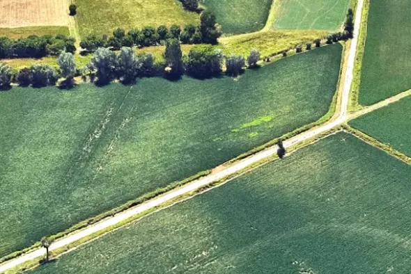 #24306 Appezzamento agricolo in zona periferica rurale