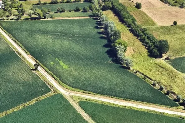 #24306 Appezzamento agricolo in zona periferica rurale