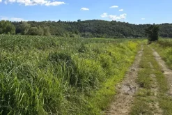 #24306 Appezzamento agricolo in zona periferica rurale