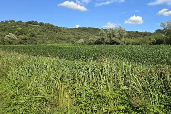 #24306 Appezzamento agricolo in zona periferica rurale