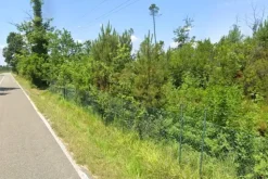 #24386 Appezzamento agricolo in zona boschiva