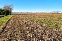 #22807 Appezzamento agricolo vicino alla ferrovia