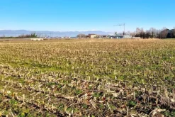 #22807 Appezzamento agricolo vicino alla ferrovia
