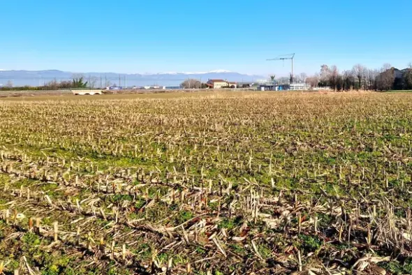 #22807 Appezzamento agricolo vicino alla ferrovia