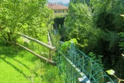 #20926 Appezzamento boschivo collinare di 5727 mq