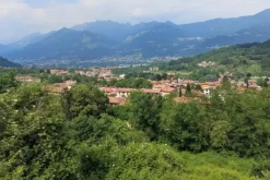 #20926 Appezzamento boschivo collinare di 5727 mq