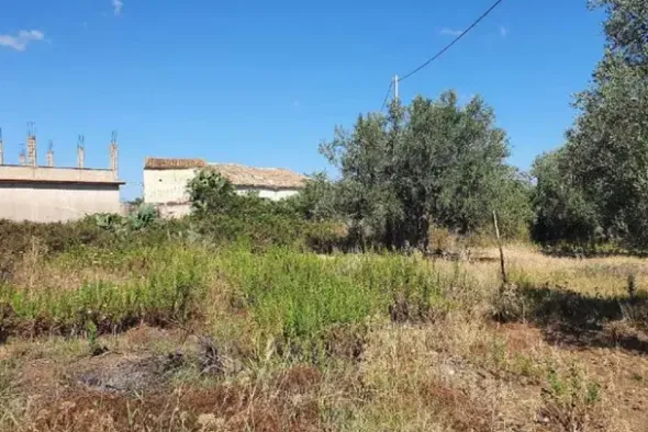 #20948 Appezzamento di terreno agricolo alberato