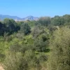 #21269 Appezzamento di terreno di 6660 mq