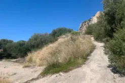#21269 Appezzamento di terreno di 6660 mq