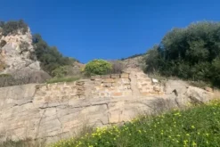 #21269 Appezzamento di terreno di 6660 mq