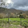 #23433 Appezzamento di terreno montano di 2480 mq