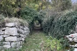 #23433 Appezzamento di terreno montano di 2480 mq