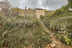 #23433 Appezzamento di terreno montano di 2480 mq