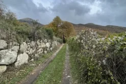 #23433 Appezzamento di terreno montano di 2480 mq