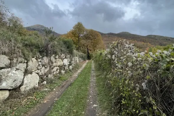 #23433 Appezzamento di terreno montano di 2480 mq
