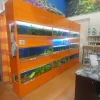 Aquario multiplo per negozio di aquariologia