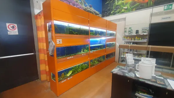 Aquario multiplo per negozio di aquariologia