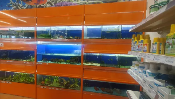 Aquario multiplo per negozio di aquariologia