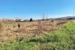 #22741 Area edificabile di 3505 mq