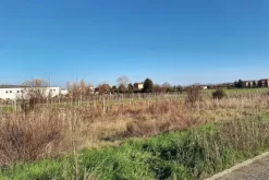#22741 Area edificabile di 3505 mq
