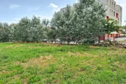 #24077 Area edificabile di 886 mq in zona residenziale