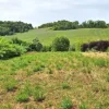 #24075 Area edificabile di 1349 mq in zona residenziale