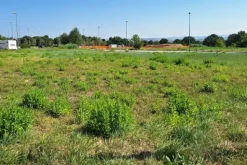 #21690 Area edificabile residenziale di 4133 mq