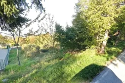 #2515130 Area per espansione residenziale su pendio