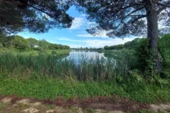 #21170 Area residenziale e turistico-ricettiva da bonificare
