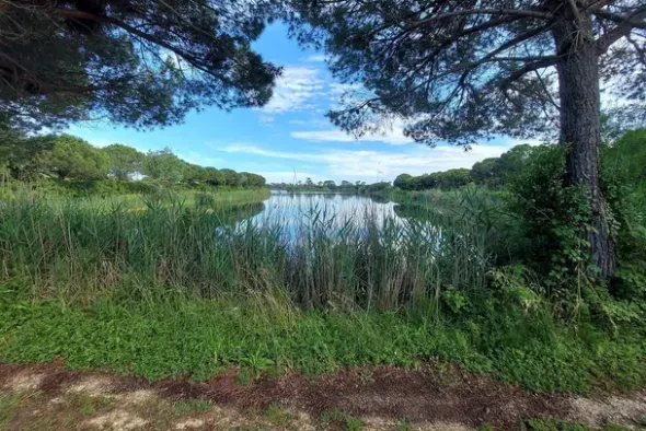 #21170 Area residenziale e turistico-ricettiva da bonificare